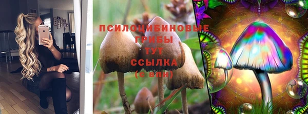 спайс Карпинск