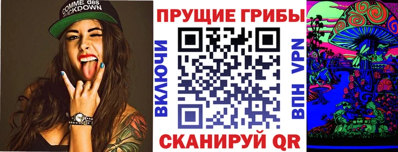 Купить где  Коркино  Галлюциногенные грибы Psilocybe 